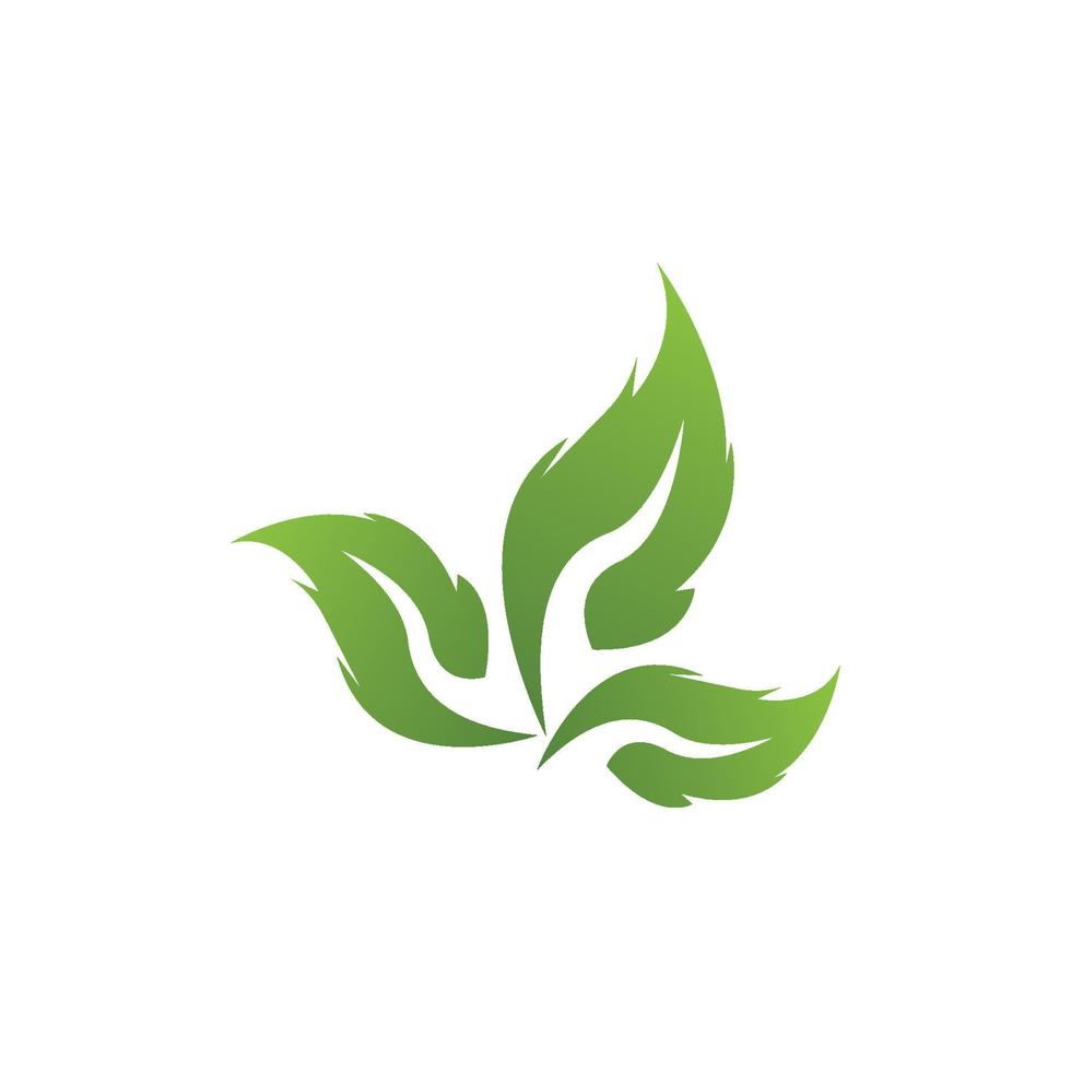 Nature leaf icon and symbol template vector