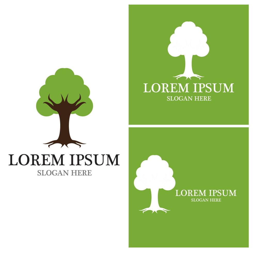 Tree icon and symbol vector template