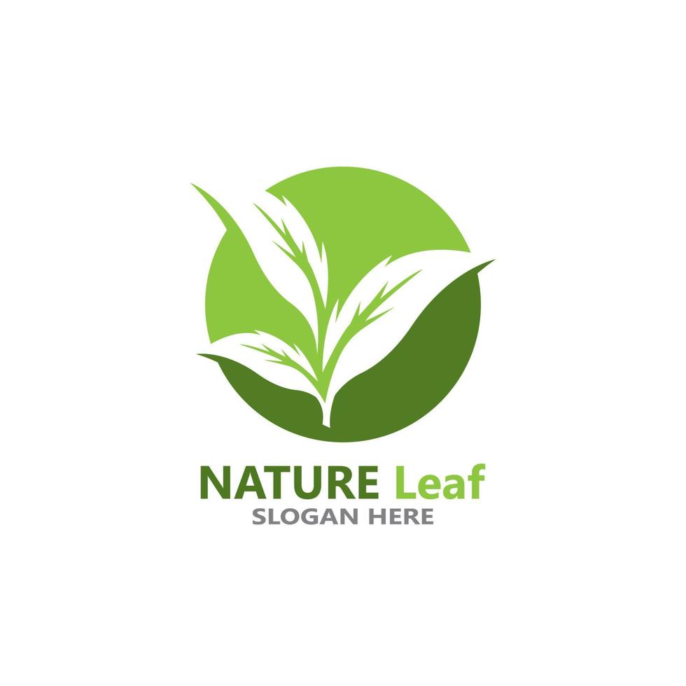 Nature leaf icon and symbol template vector