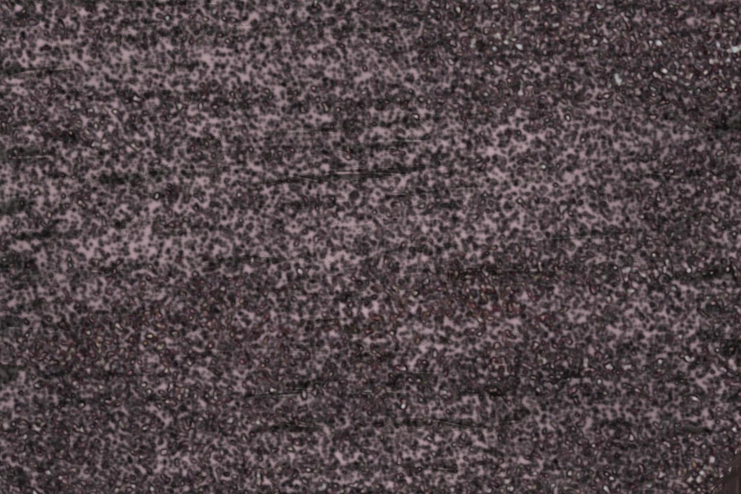 Granite stone nature granitoids rough honed surface finished wall, floor material black and gray color , dot white red background, Always has a tight texture, durable photo