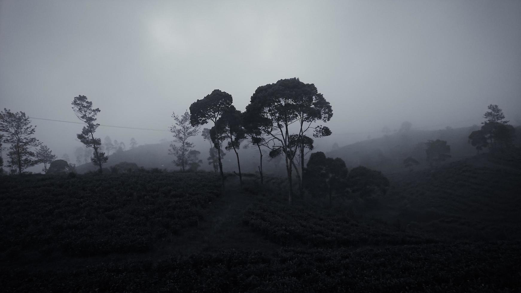 paisaje, hermoso paisaje, triste foto