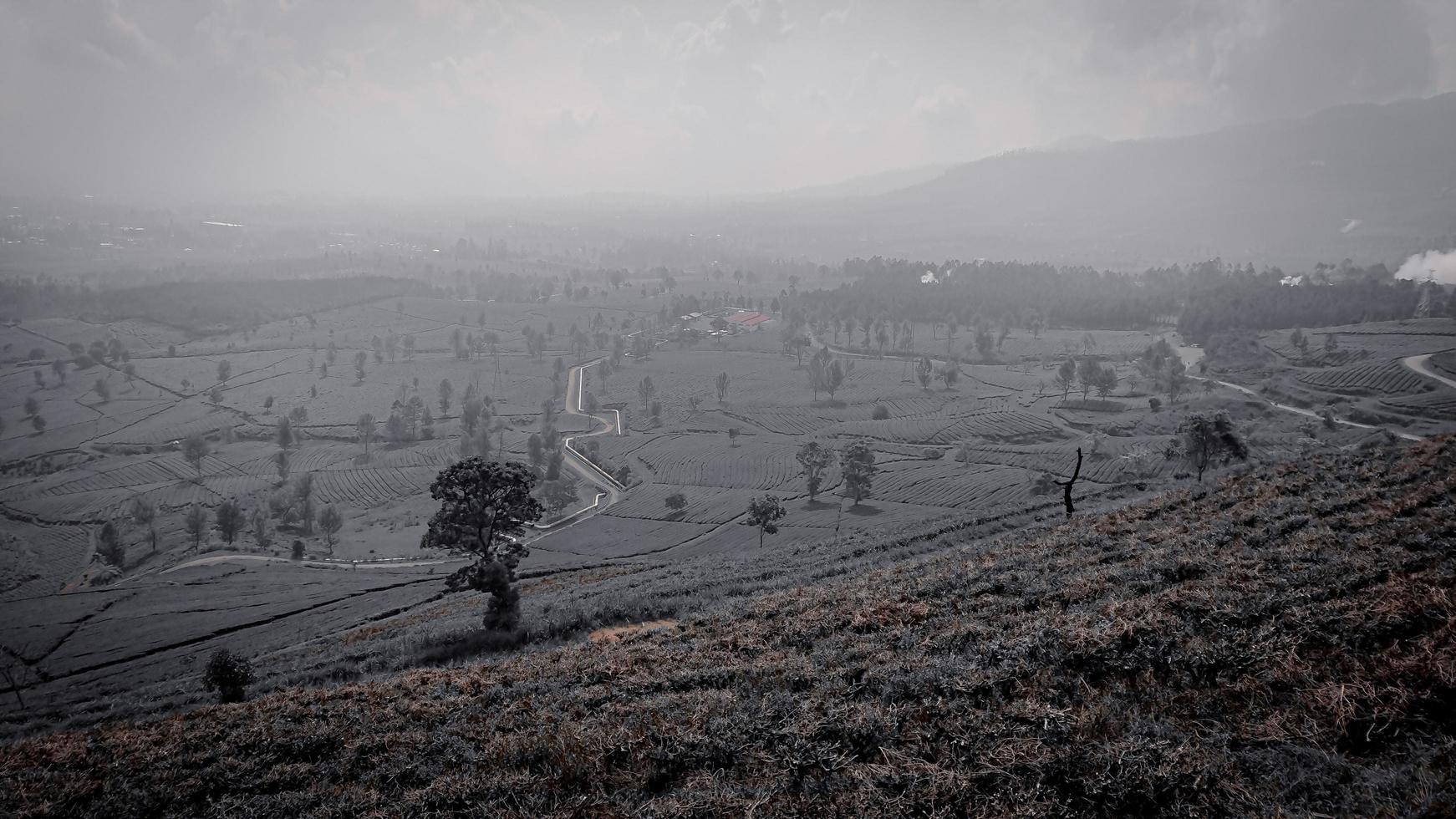 paisaje, hermoso paisaje, triste foto