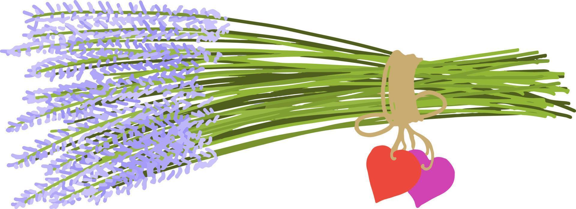 Lavender bouquet vector illustration drawn by hand