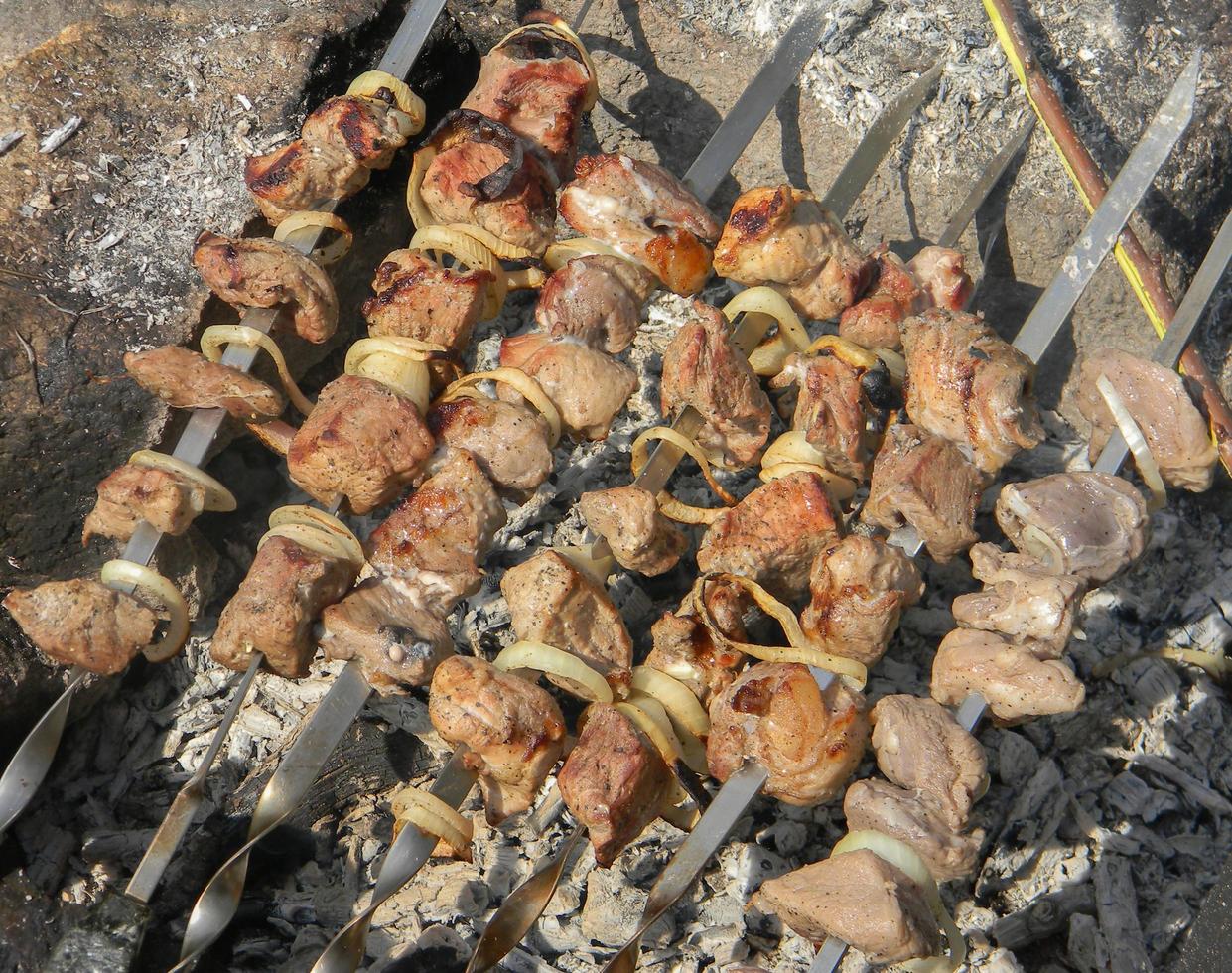 Barbecue skewers meat kebabs with onions.Picnic in nature. photo