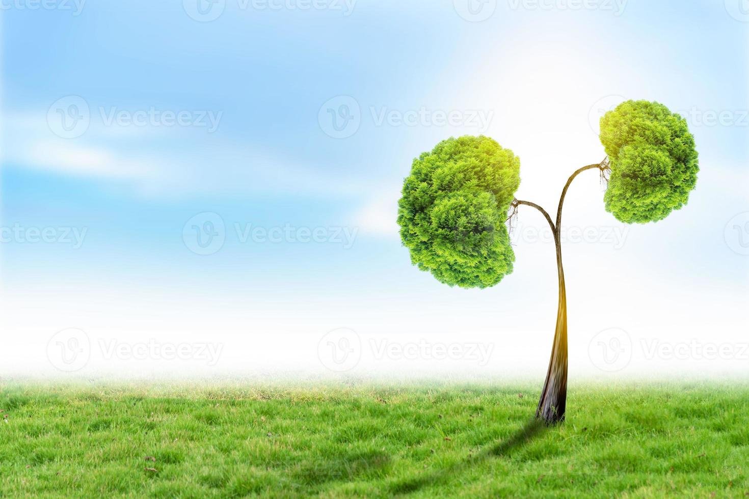 árboles riñones 3d conceptos ambientales y médicos foto