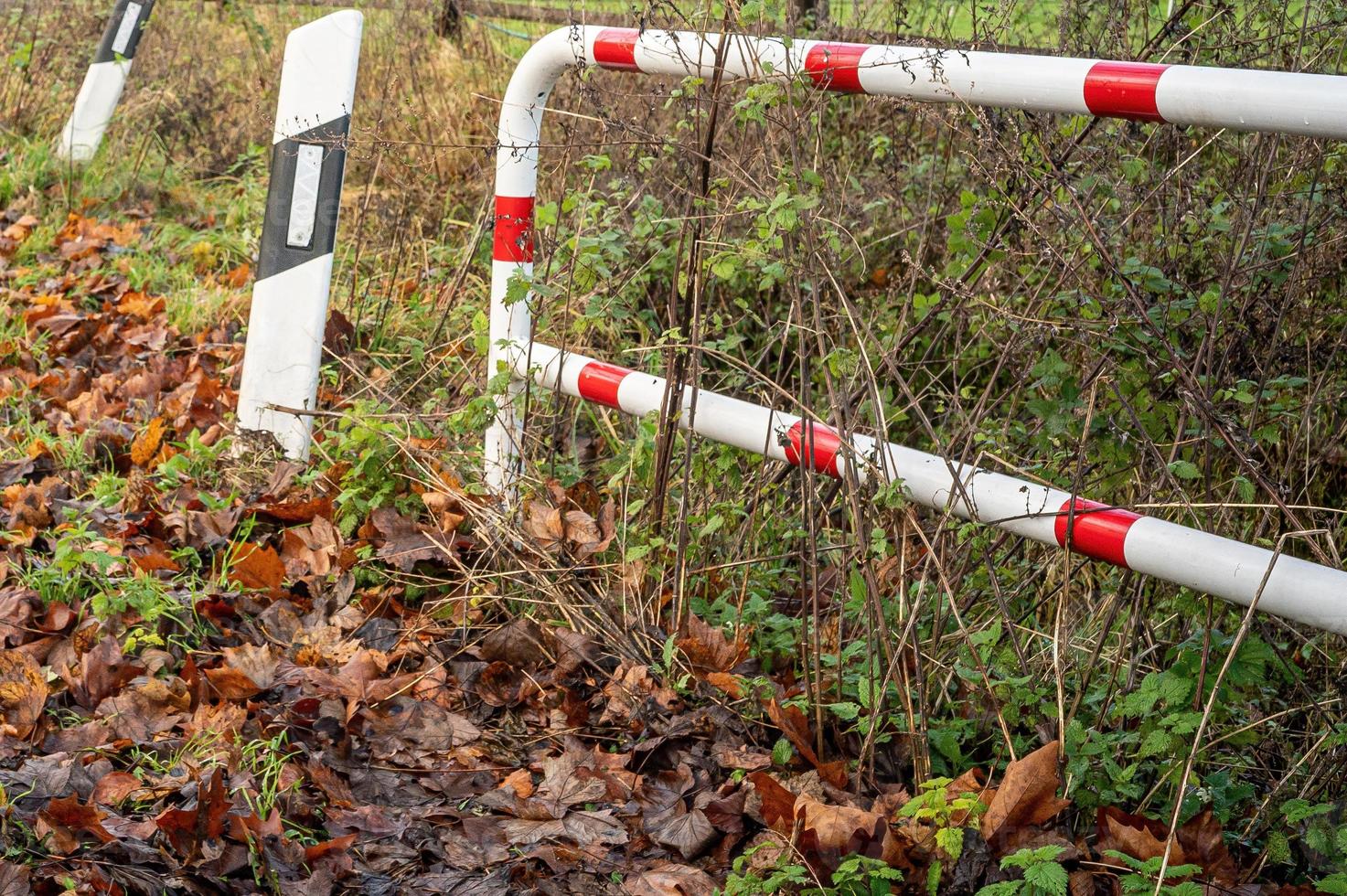 White and red fence in the forest captured in autumn photo