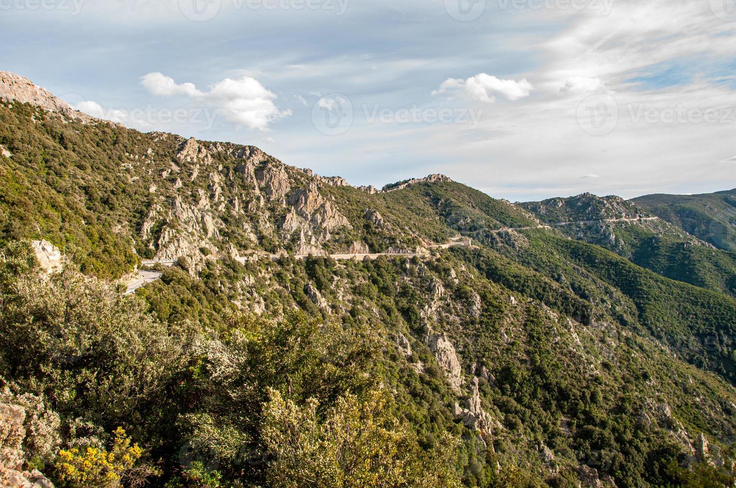 Rural landscape with plants on rocky hills on a sunny day photo