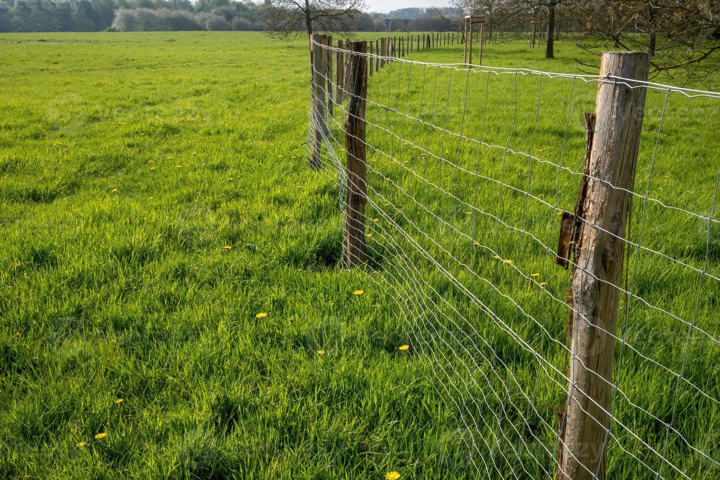 fence in the field photo