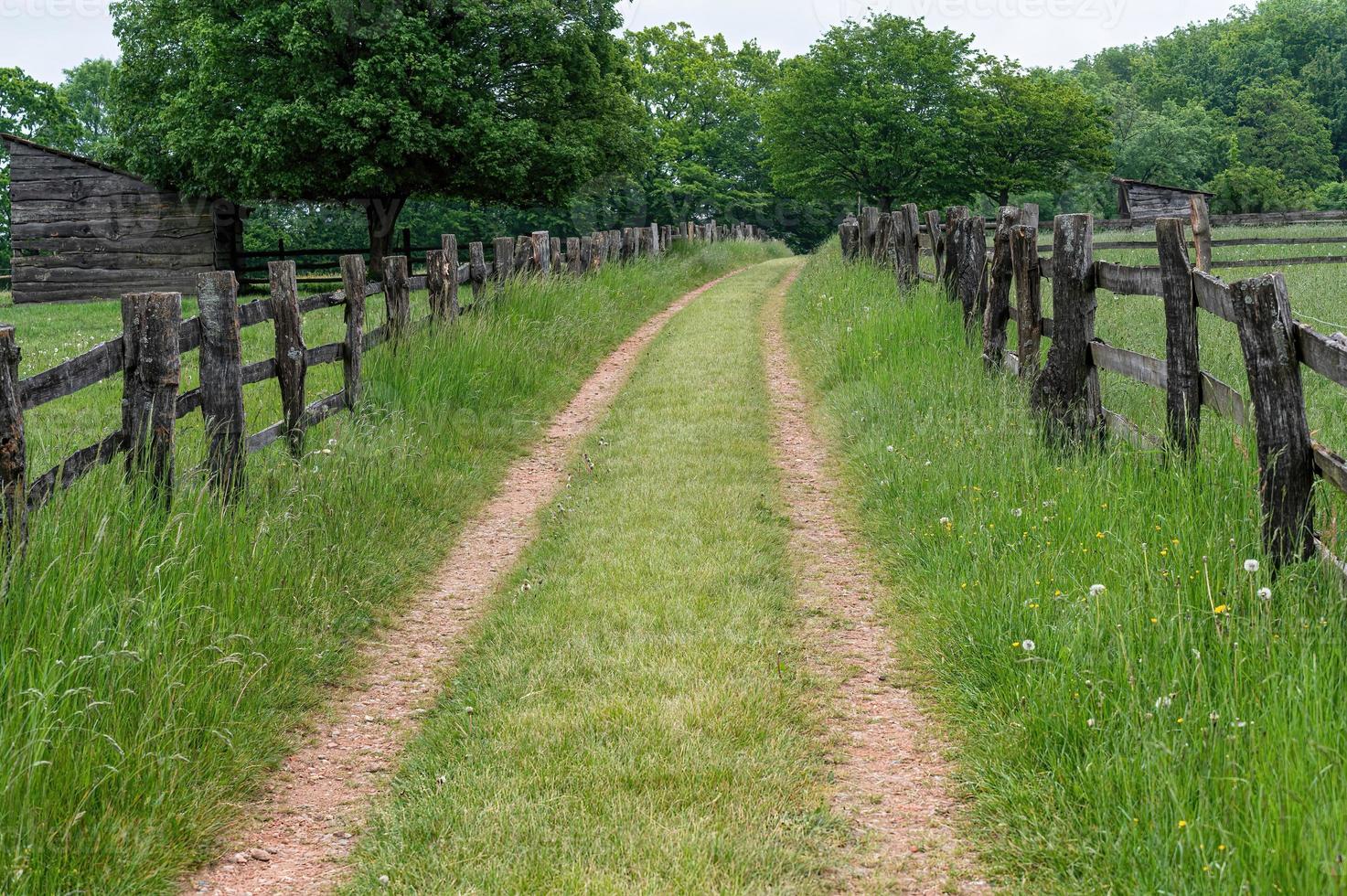 Path in a fenced rural landscape photo