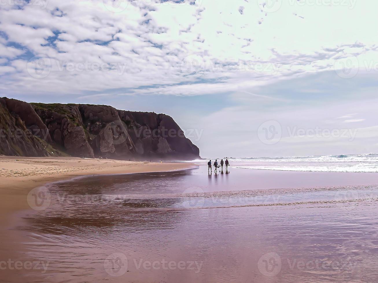 Calm sea and plants on the shore photo