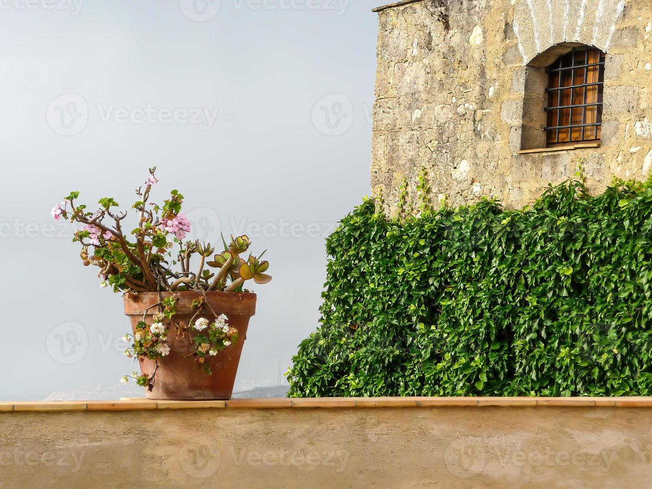 wall with flower pot and stone house photo