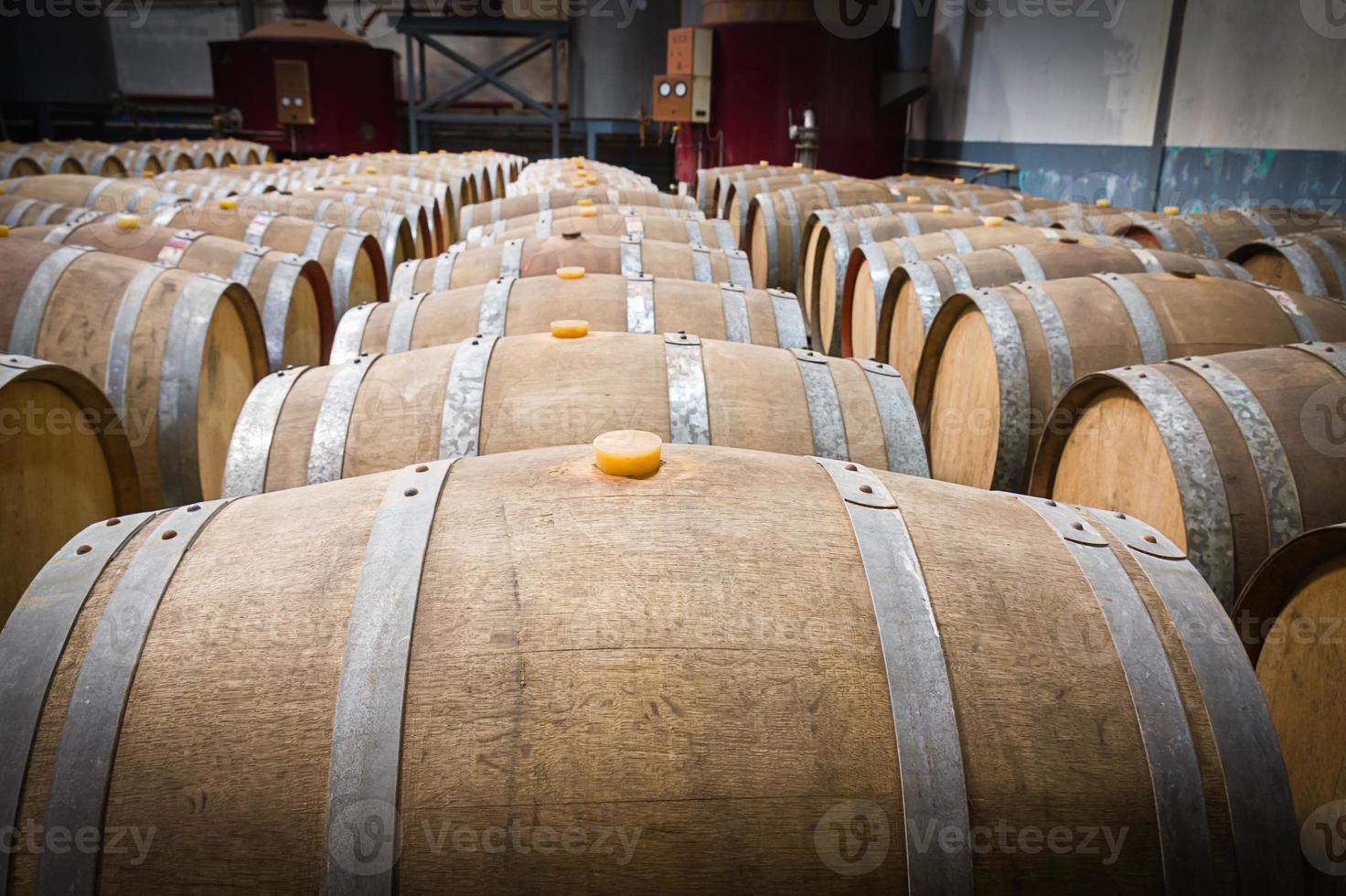 barriles de vino en la bodega de la bodega foto