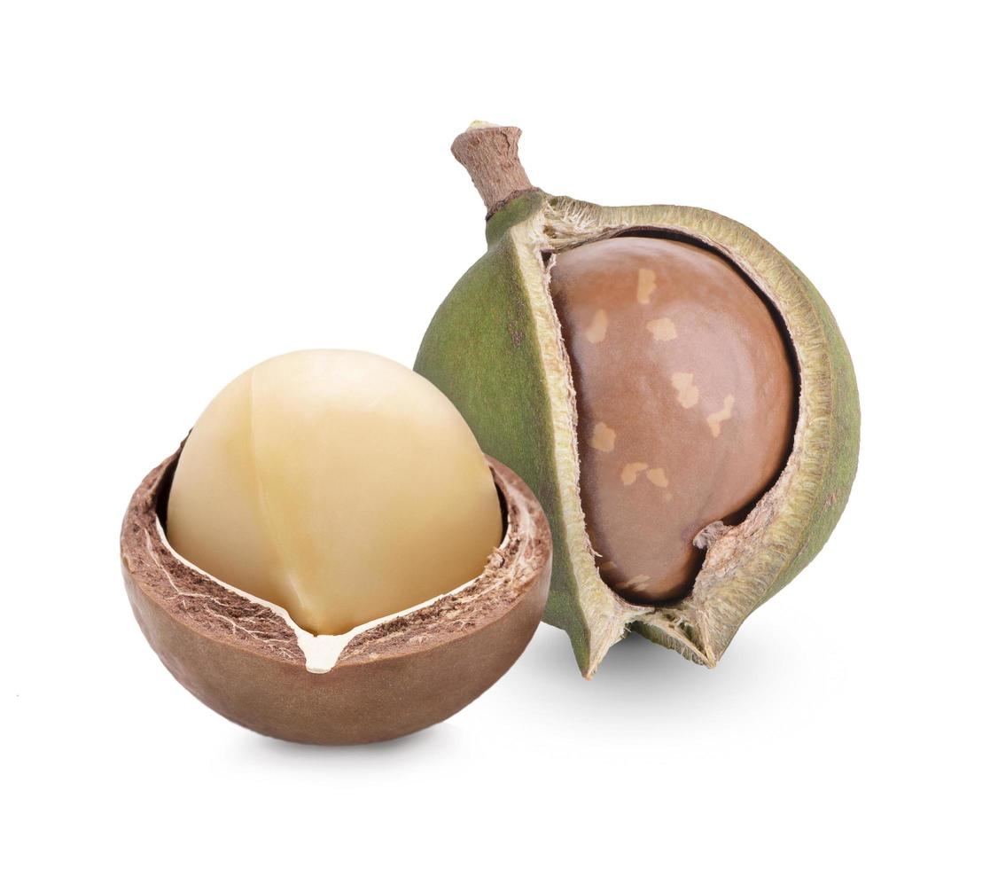 Macadamia nuts, isolated on white background. Shelled and unshelled macadamia. photo