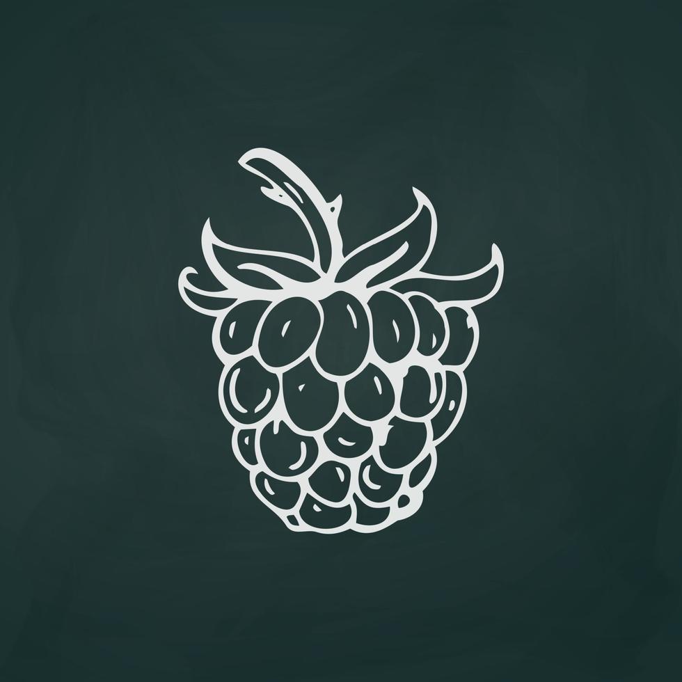 Raspberry thin white lines on a textural dark background - Vector