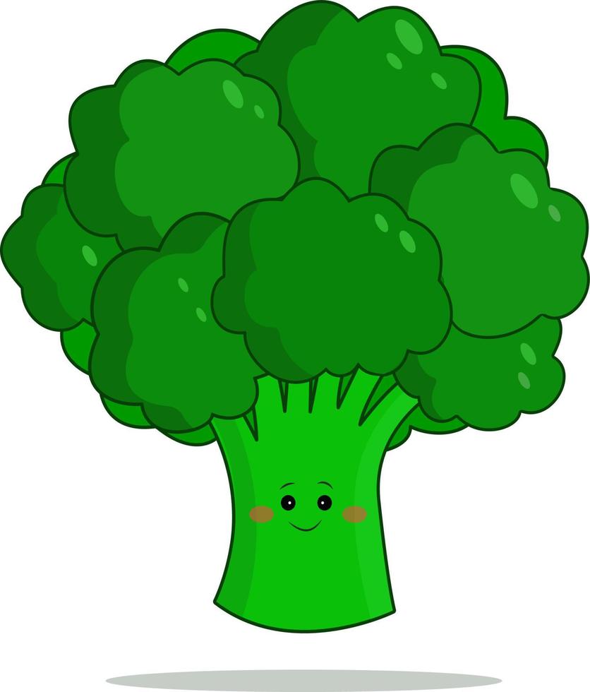 Vector illustration of cute broccoli. Cartoon character icon design in a modern flat style, isolated on a white background. Healthy broccoli food, proper nutrition, vegetarian concept