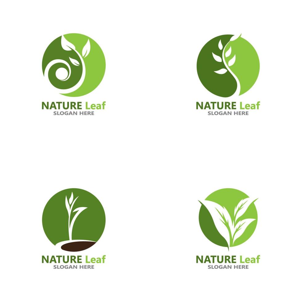 Nature leaf icon and symbol template vector