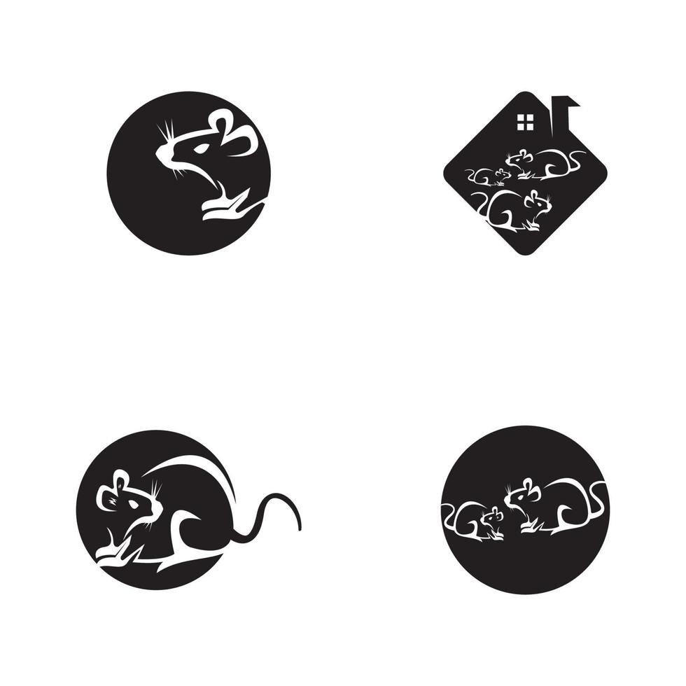 Rat icon and symbol vector illustration