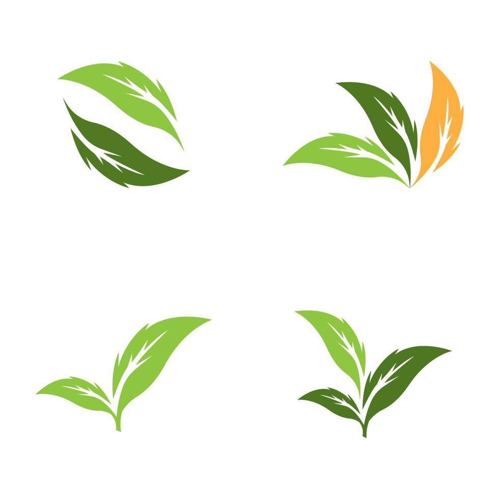 Nature leaf icon and symbol template vector