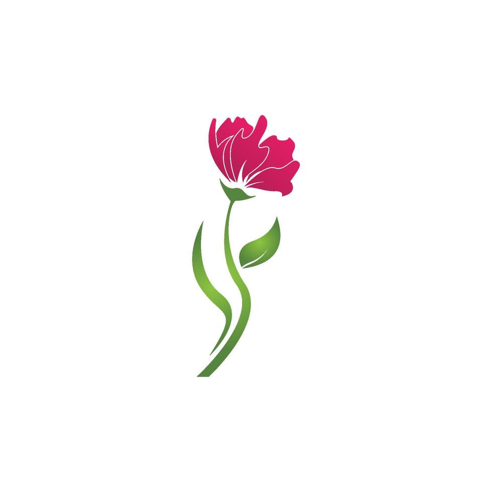 Flower beauty spa logo vector illustration