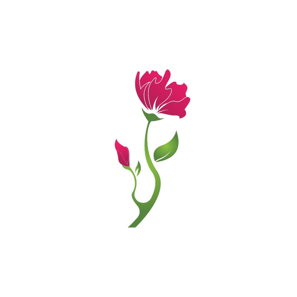 Flower beauty spa logo vector illustration