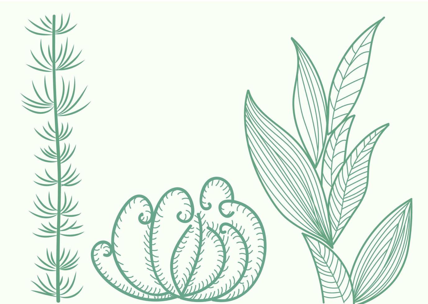 Seaweed at the bottom. Collection of species for design vector