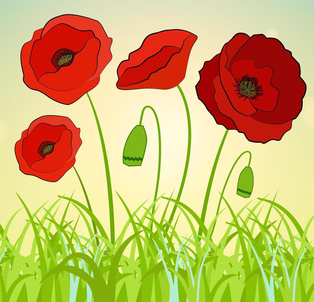 hermoso fondo abstracto con flores de amapolas rojas. vector