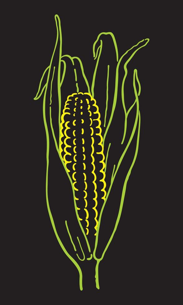 Corn cob on a black background vector