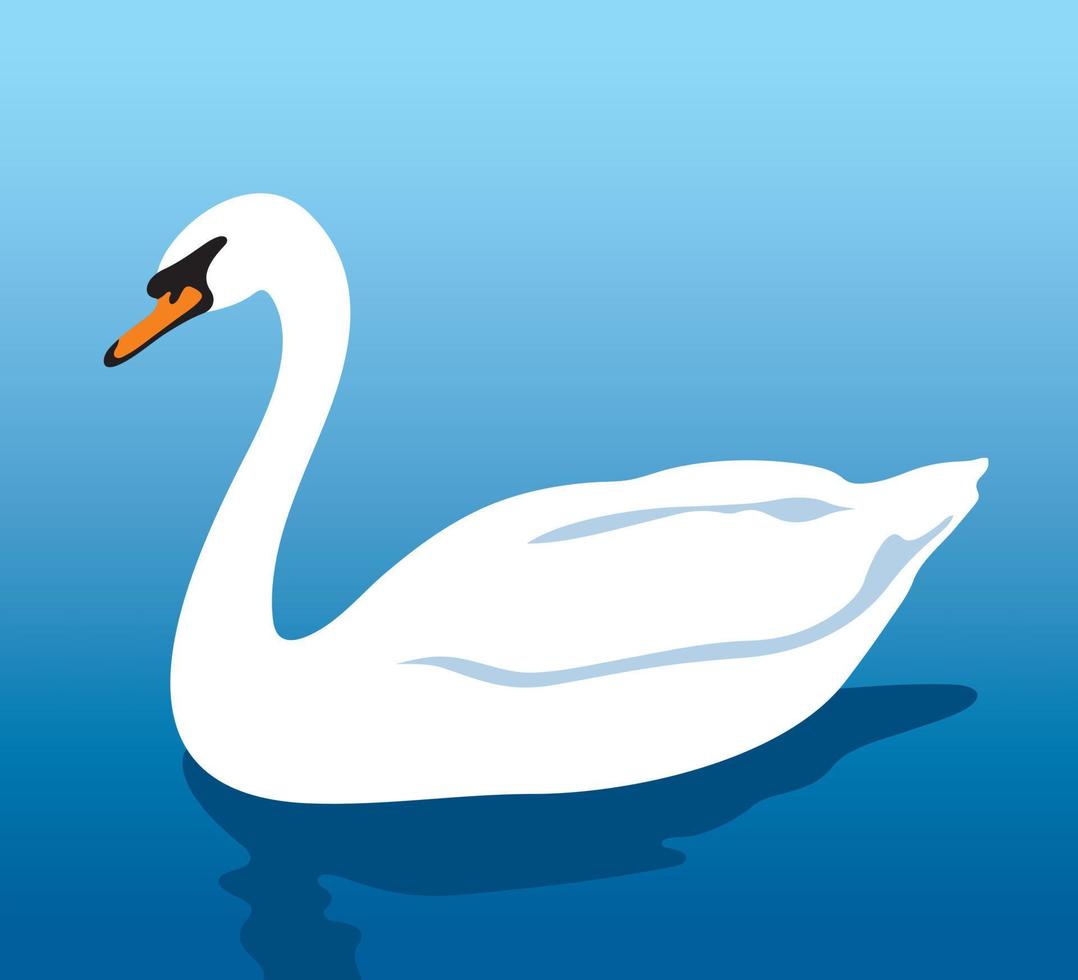 cisne blanco en el agua vector