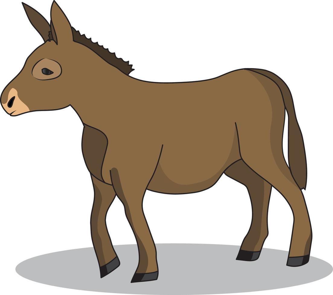Brown Donkey Standing vector