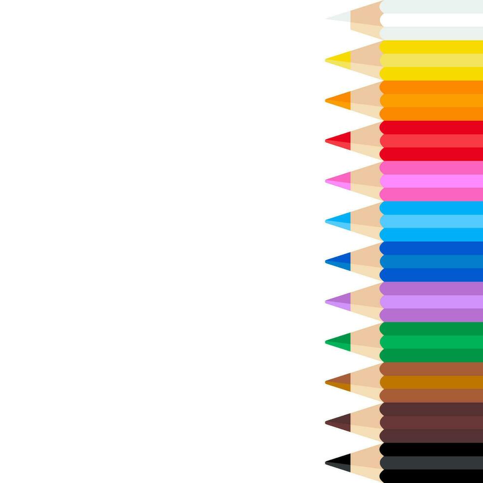 vector colored pencils arranged neatly on white background