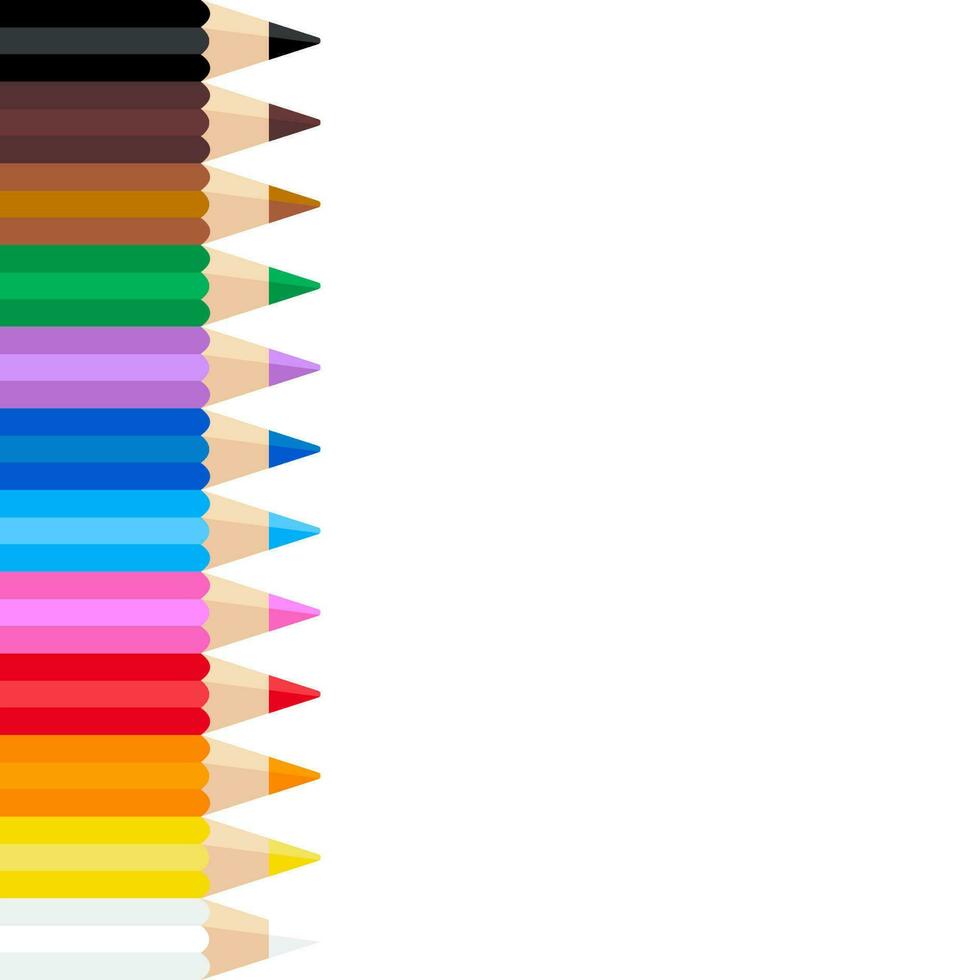 vector colored pencils arranged neatly on white background