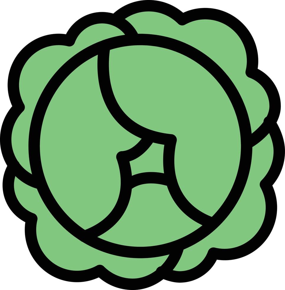 cabbage vector illustration on a background.Premium quality symbols.vector icons for concept and graphic design.
