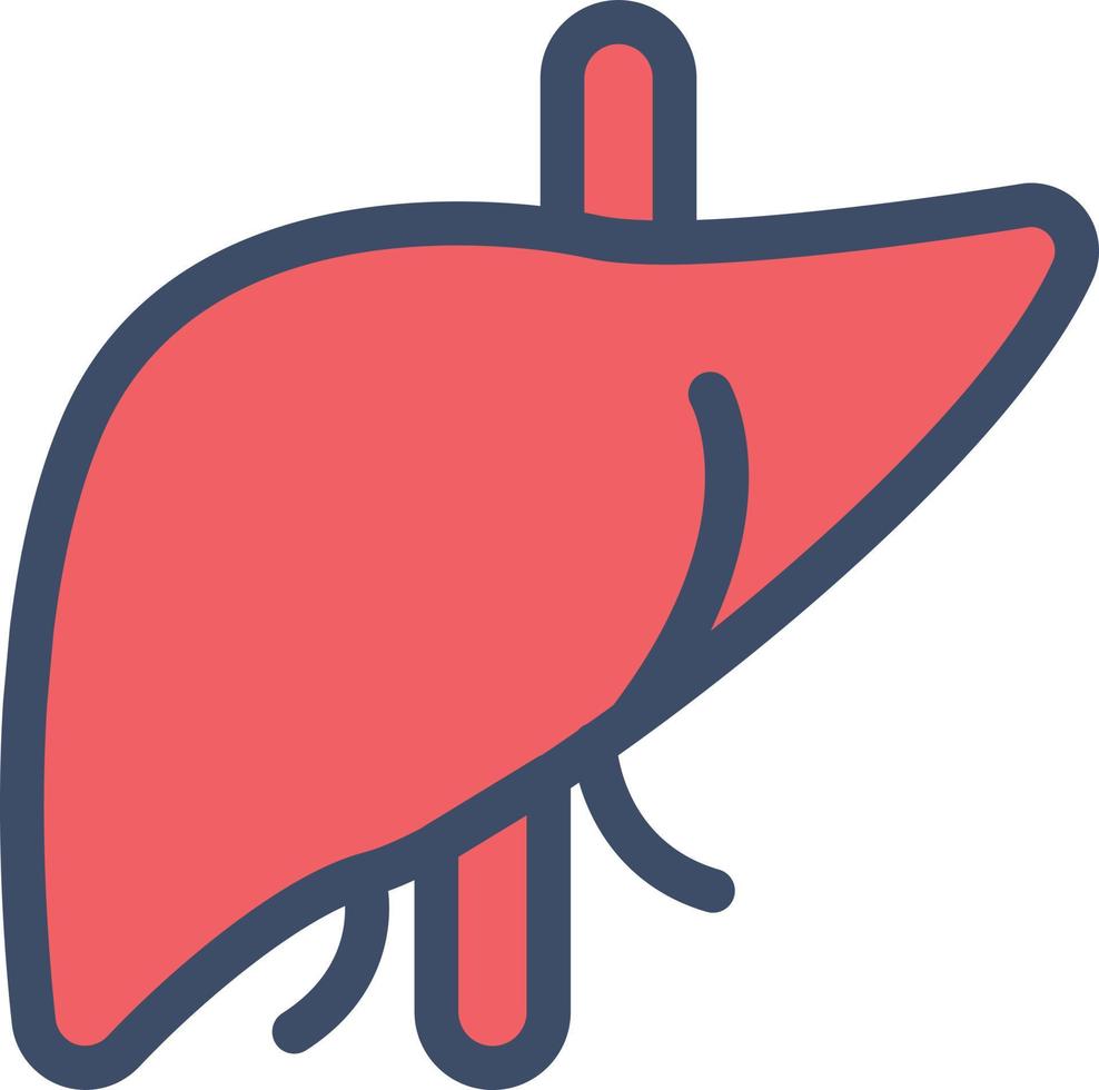 liver vector illustration on a background.Premium quality symbols.vector icons for concept and graphic design.