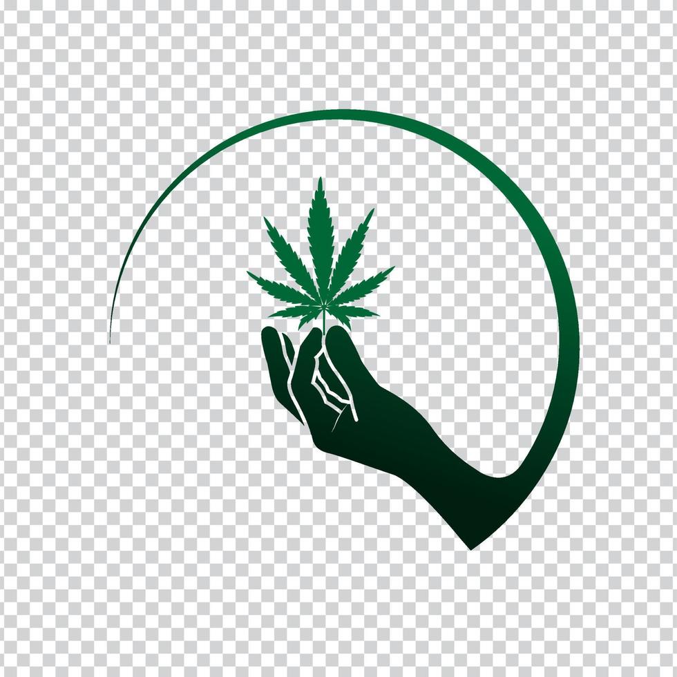 mano con hoja de marihuana vector