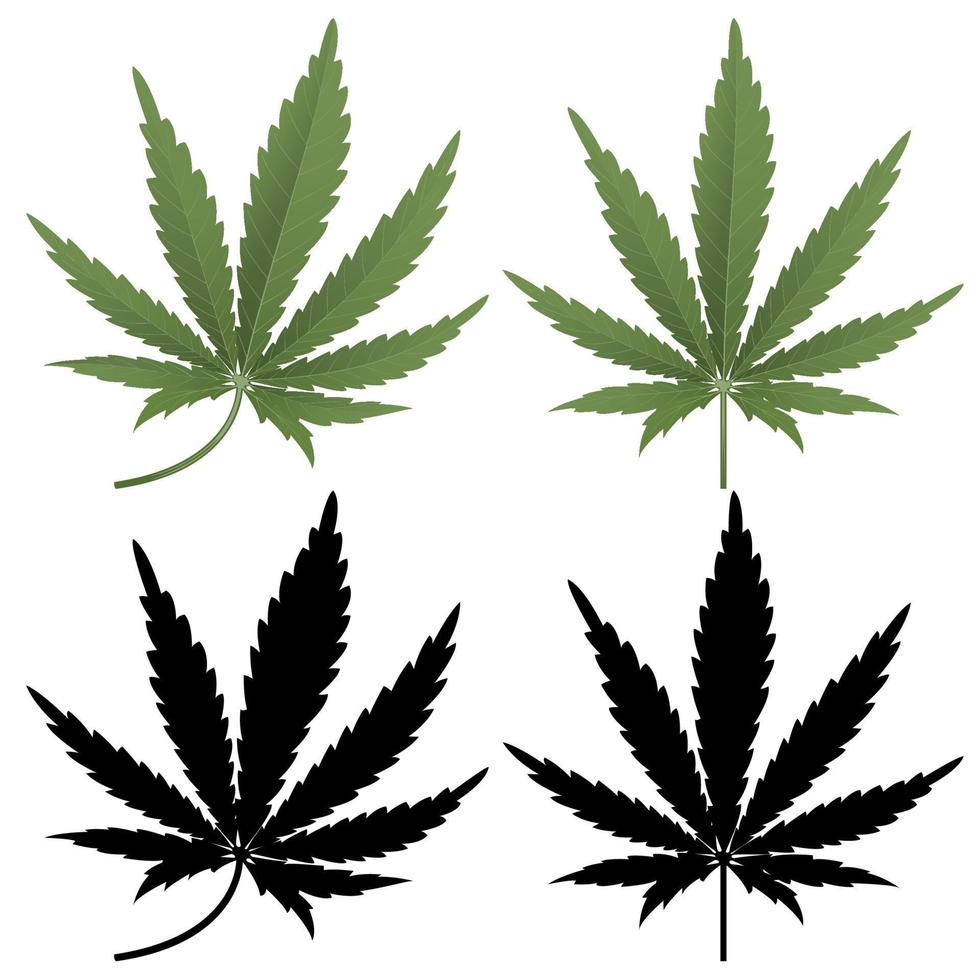 vector de hoja de cannabis