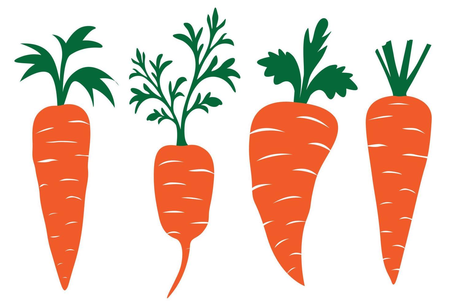 Set of Isolated carrots with leaves vector