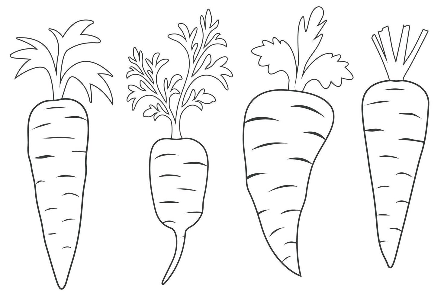 Set of carrots line art with leaves vector