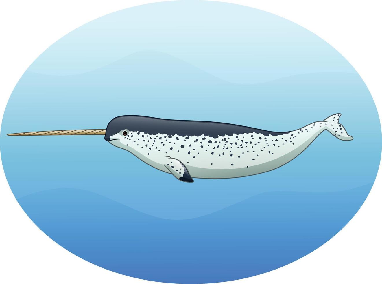 Cartoon narwhal isolated on white background vector