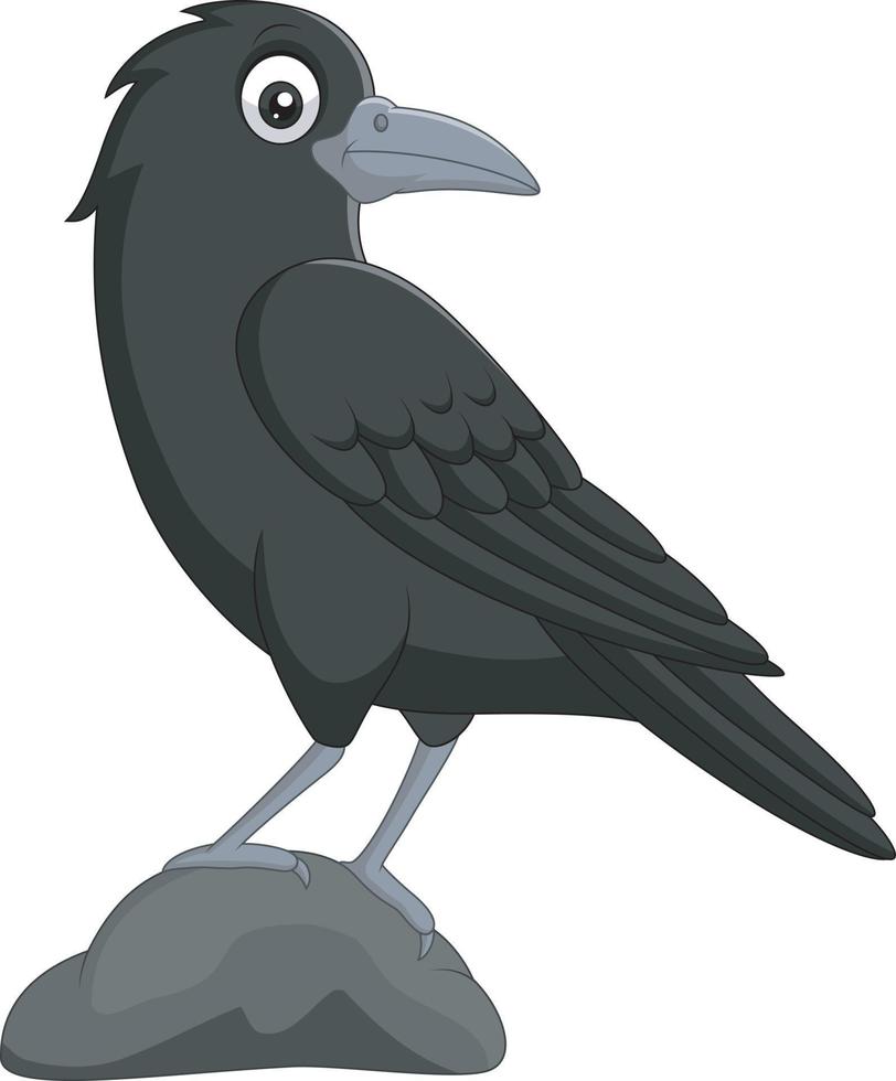 Cartoon crow standing in stone on white background vector