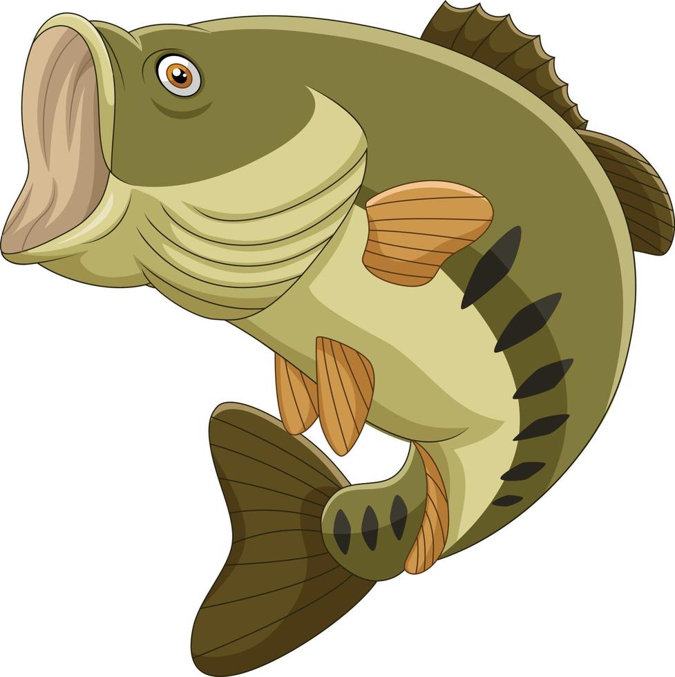 Cartoon bass fish isolated on white background vector