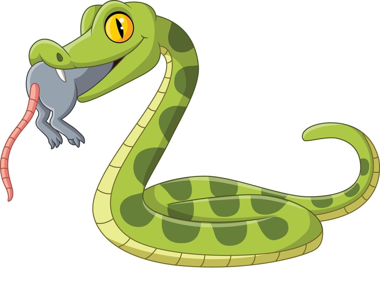 Cartoon green snake eating a mouse vector