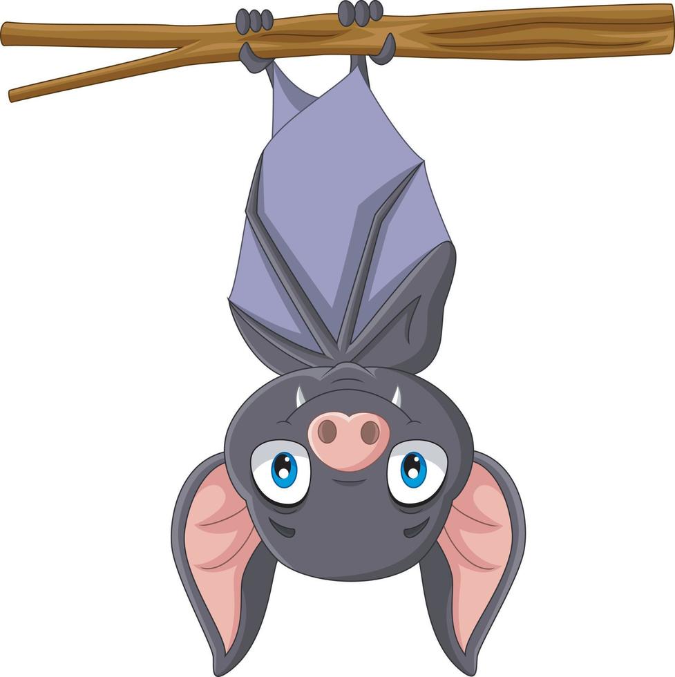 Cute bat cartoon hanging on the branch vector