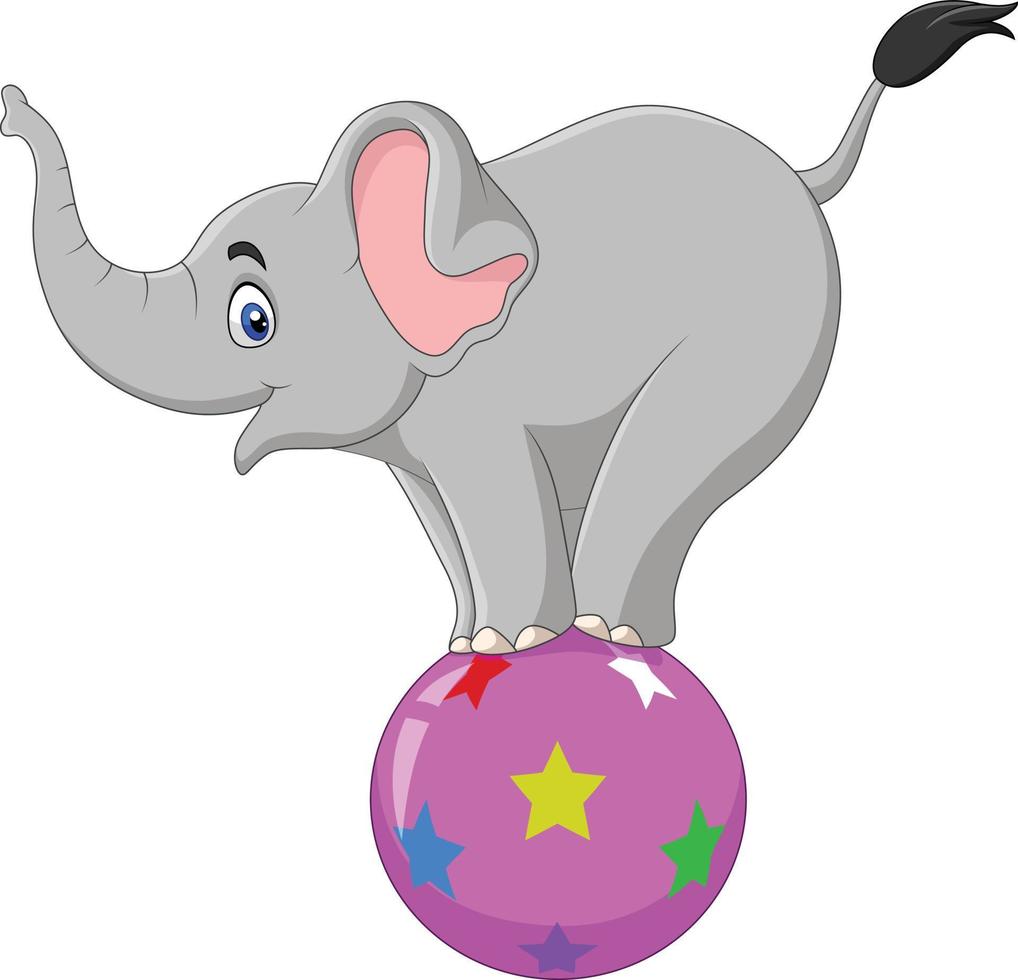 elefante de circo de dibujos animados de pie sobre una pelota vector