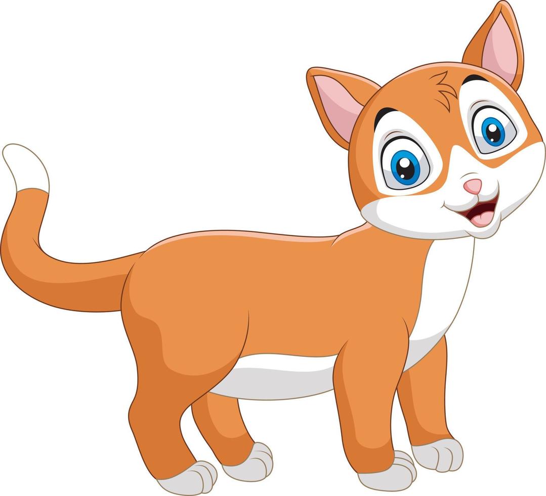 dibujos animados de gato sonriente aislado sobre fondo blanco vector