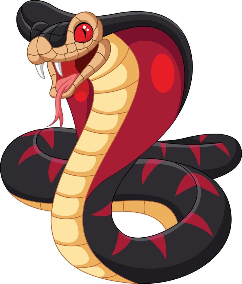 Cartoon king cobra snake on white background vector