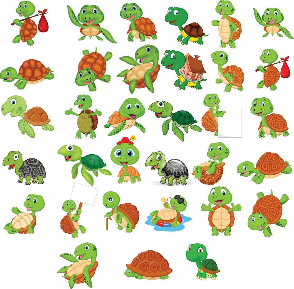 conjunto de colección de tortugas de dibujos animados vector