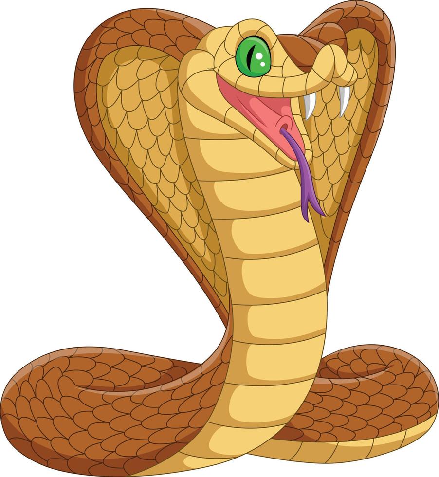 Cartoon king cobra snake on white background vector