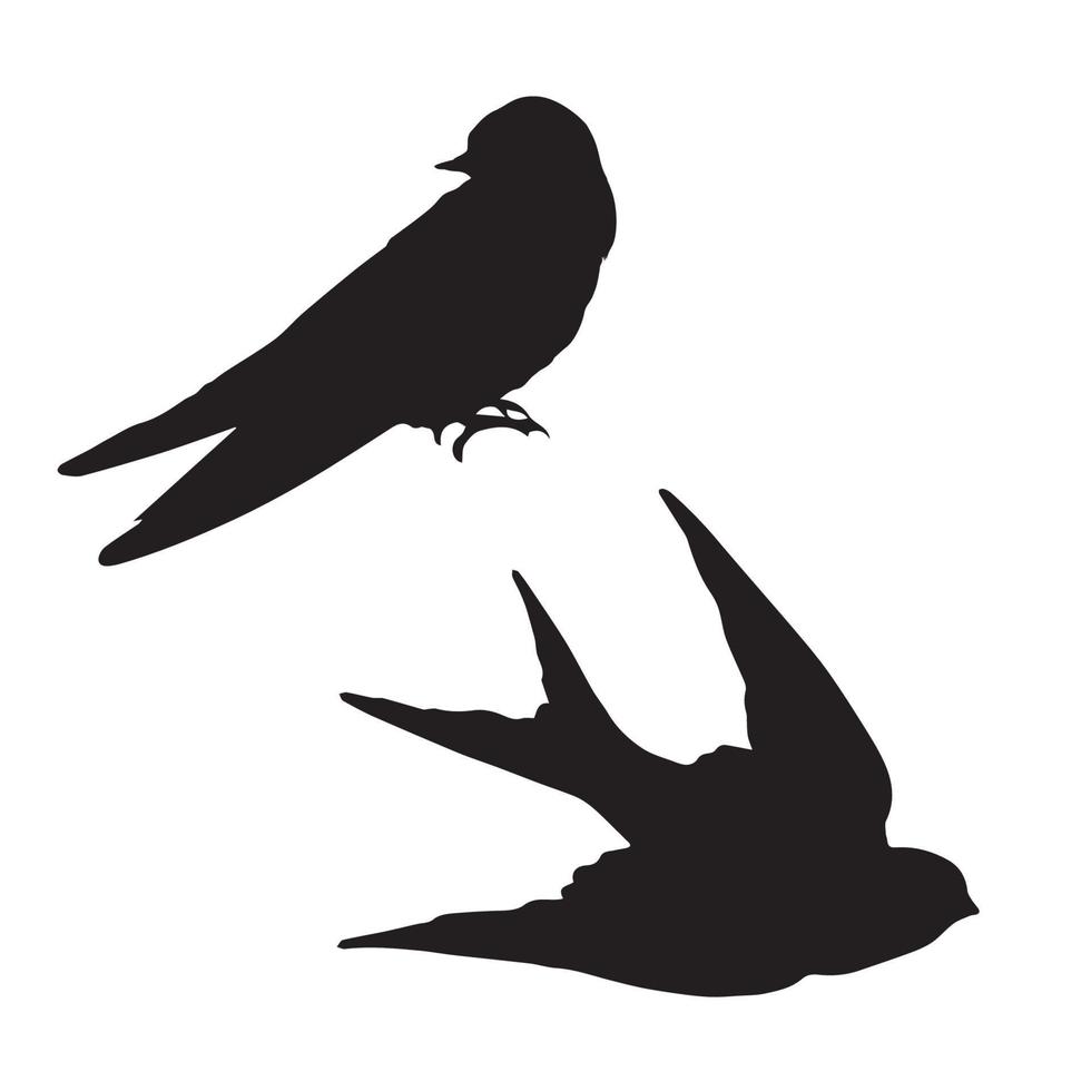 Swallow Silhouette Art vector