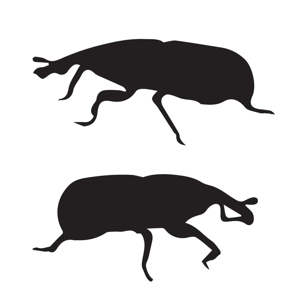 Rice Weevil Silhouette vector