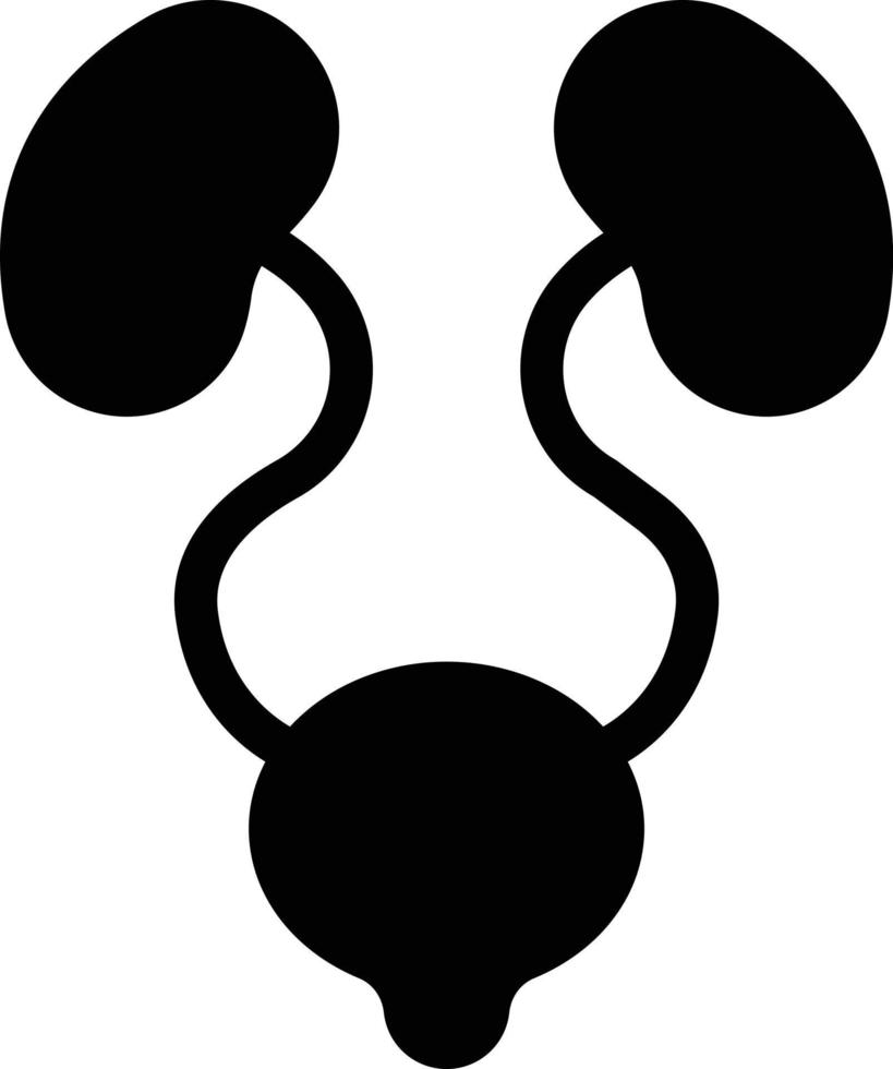 bladder vector illustration on a background.Premium quality symbols.vector icons for concept and graphic design.